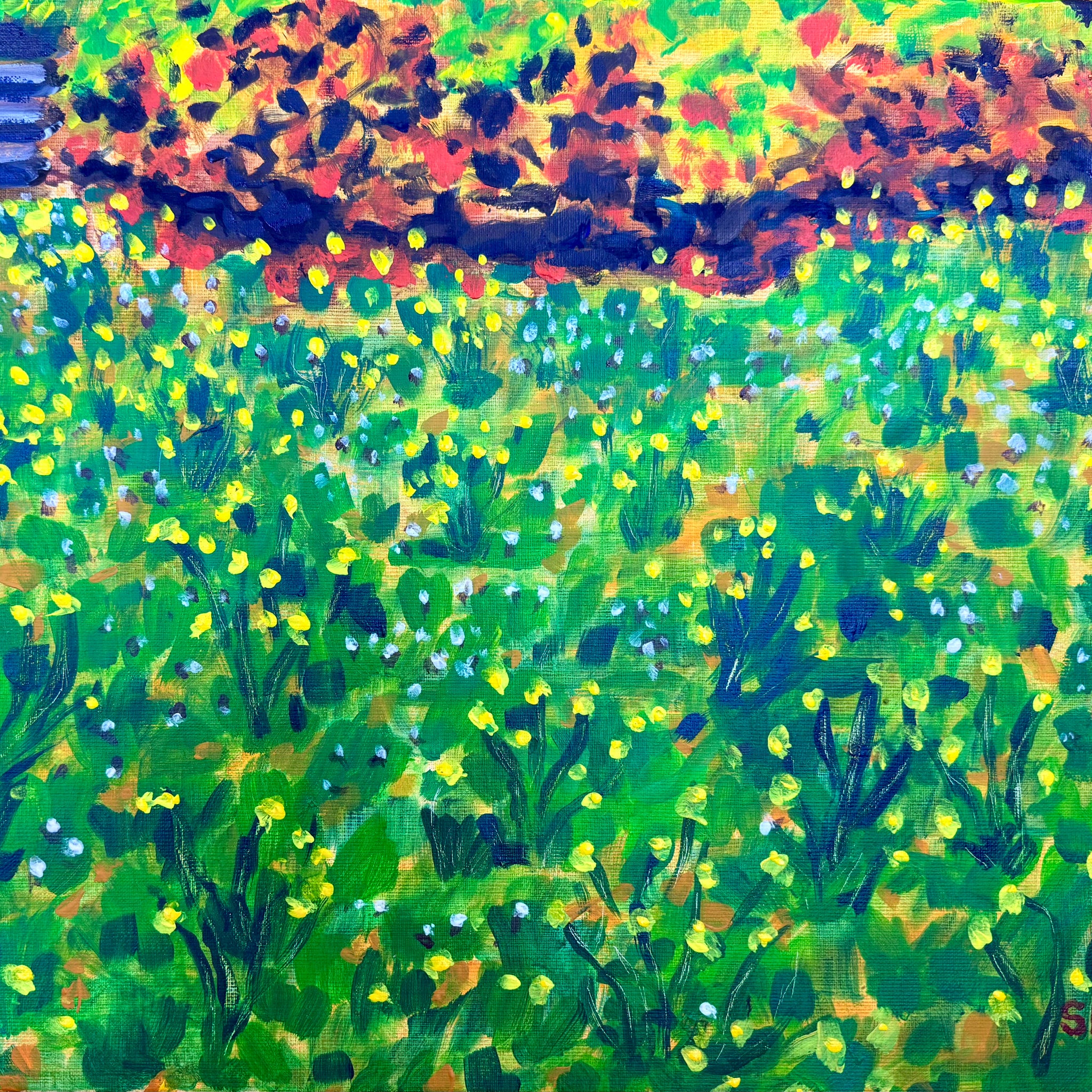 Dandelion Meadow | Canvas Print