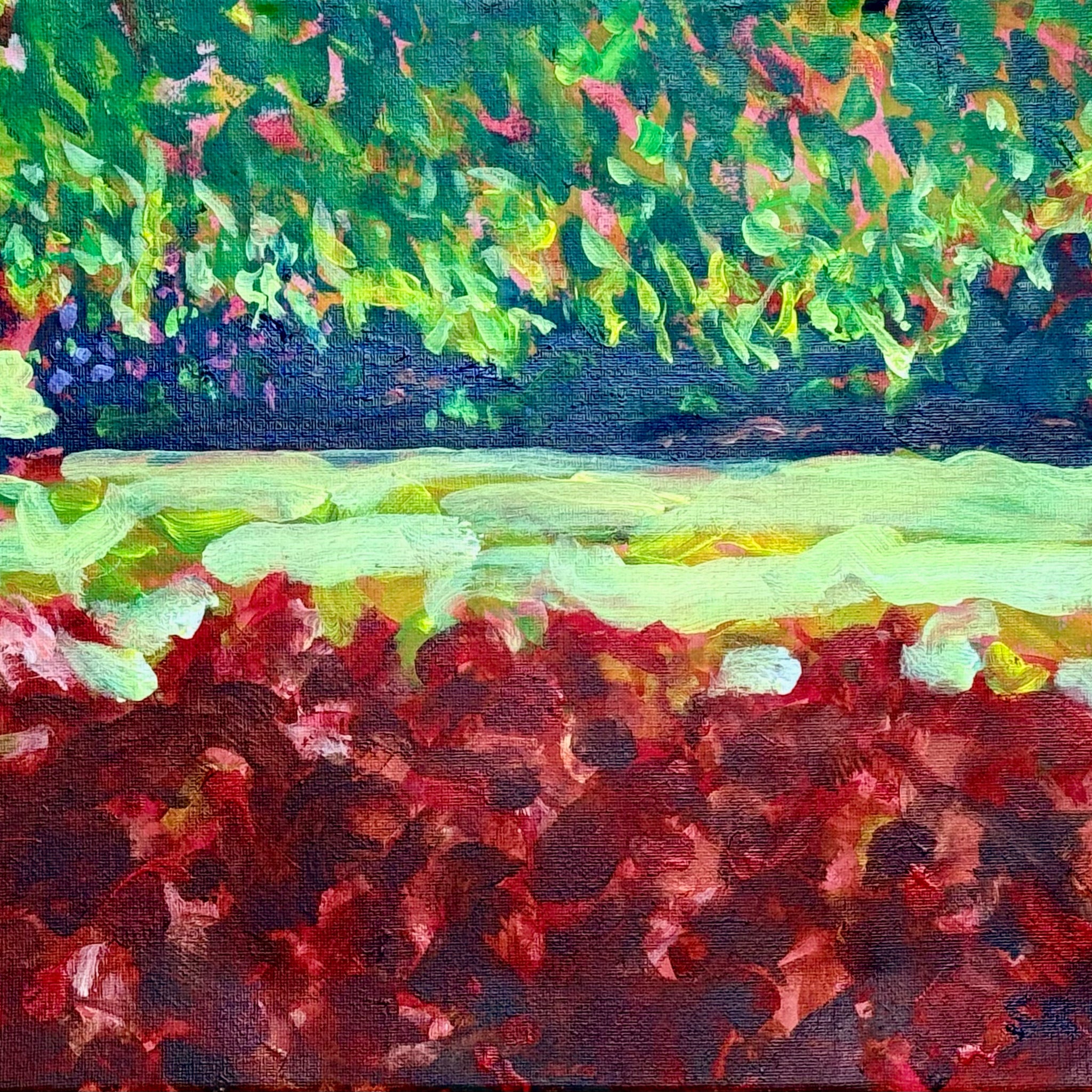 The Shade of a Beech | Canvas Print