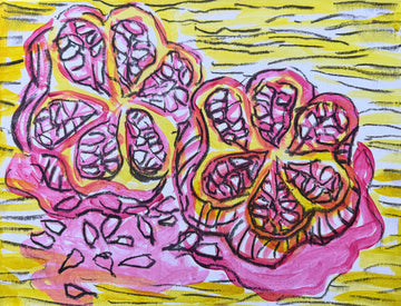 Juicy Pomegranate | Canvas Print