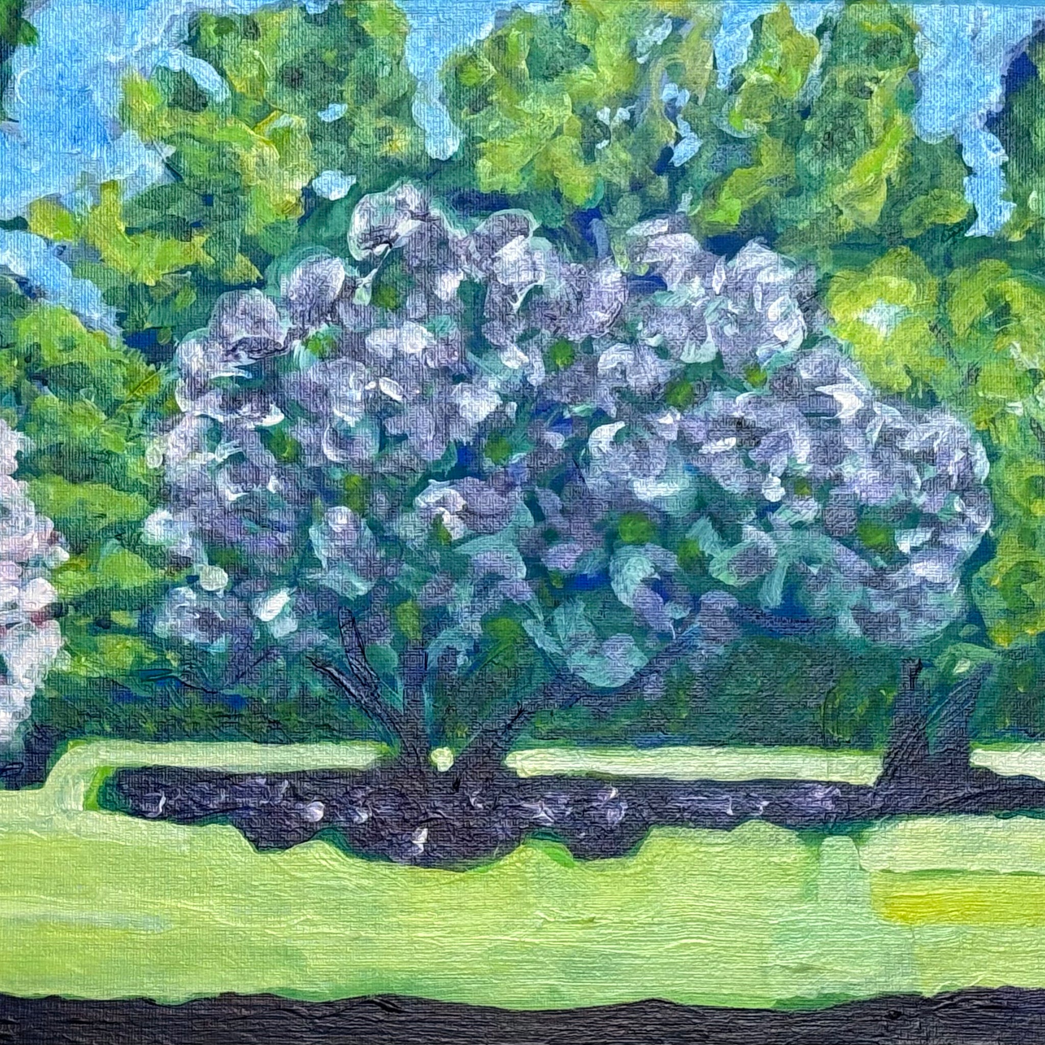 Last of the Rhododendrons | Canvas Print